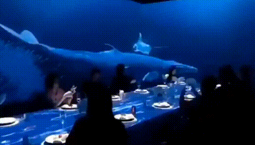 cjsct005s00 cjsct005s00